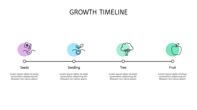 Growth timeline