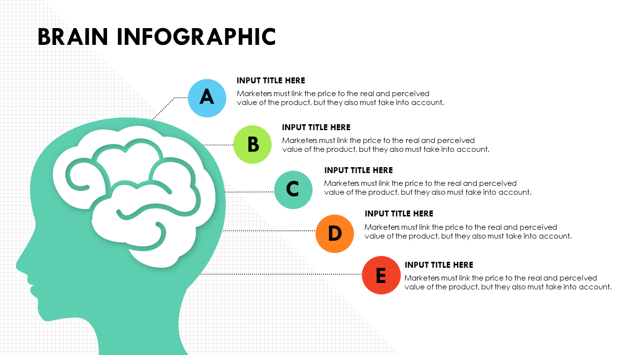 Brain Infographic Design